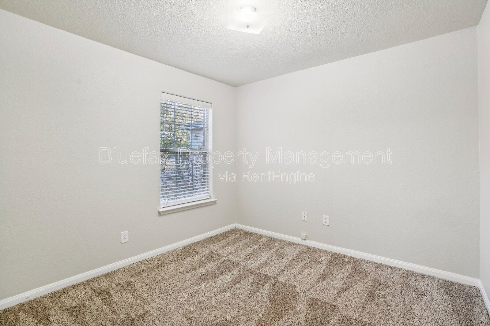 Great Price on a 1 story 3/2 with Easy Access to Hwy 90 / Loop 1604 & 410 - Minutes to JBSA Lackland! property image