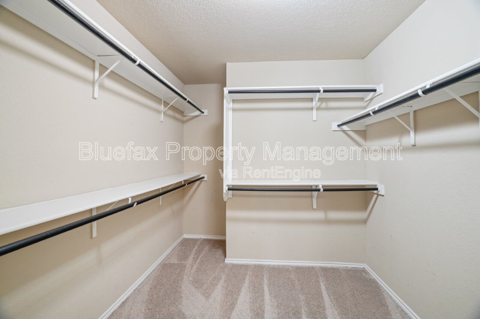 Custom Walk In Shower with Downstairs Primary Bedroom property image
