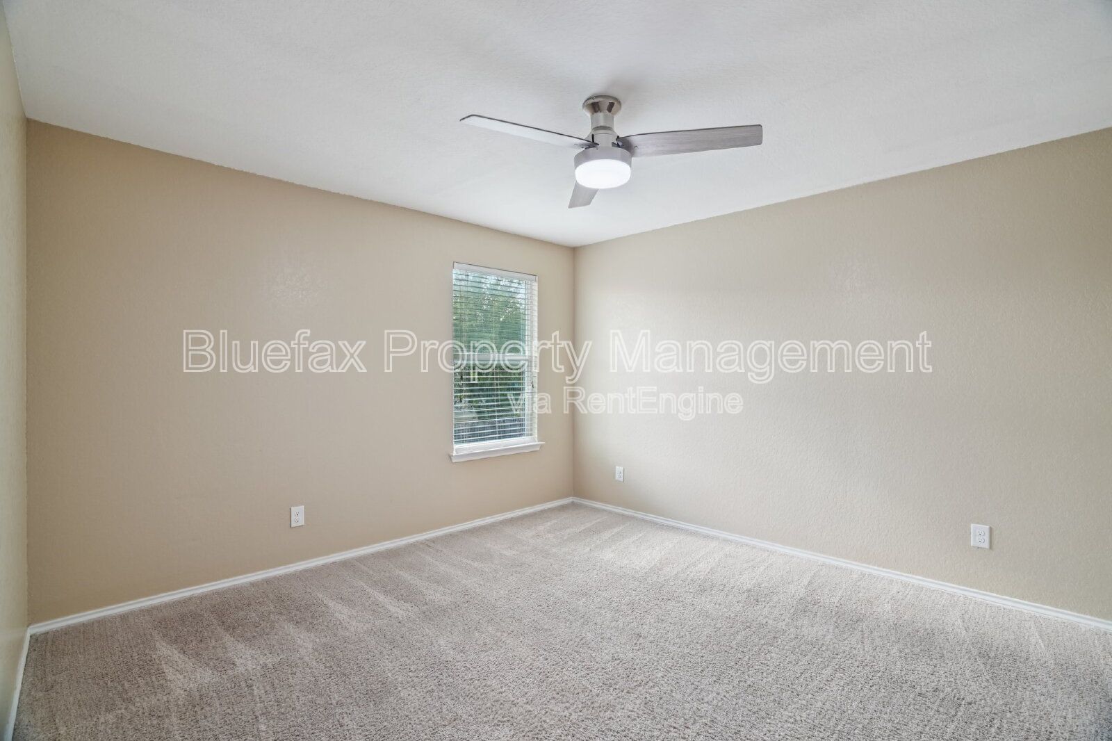 Custom Walk In Shower with Downstairs Primary Bedroom property image