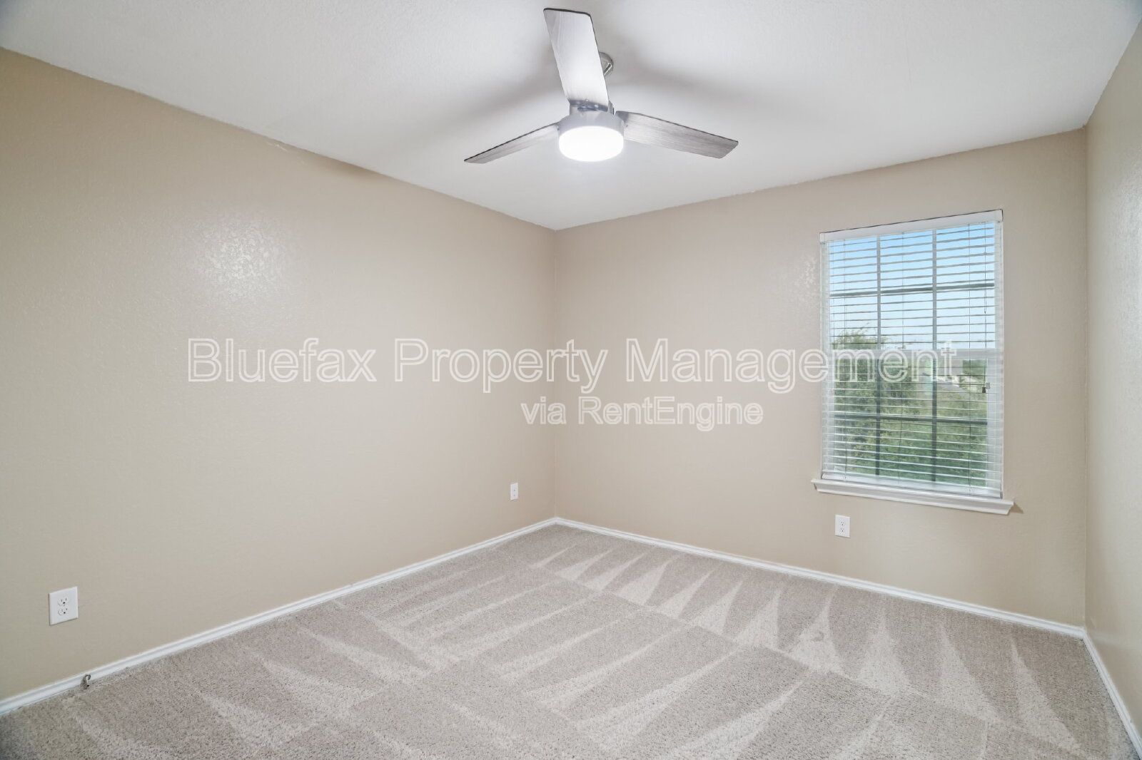 Custom Walk In Shower with Downstairs Primary Bedroom property image